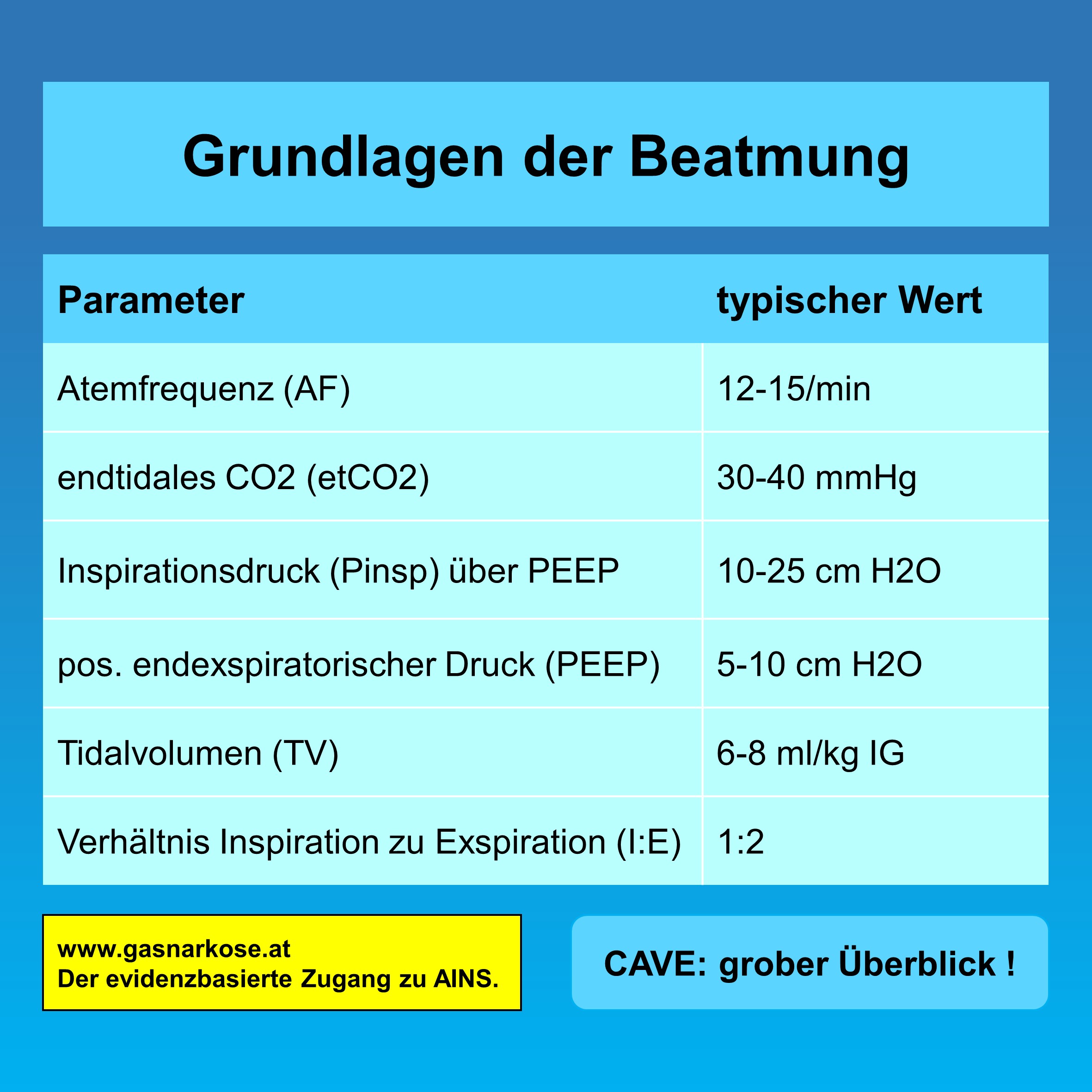 GasnarkoseDer evidenzbasierte Zugang zu AINS.Beatmung einfach erklärt